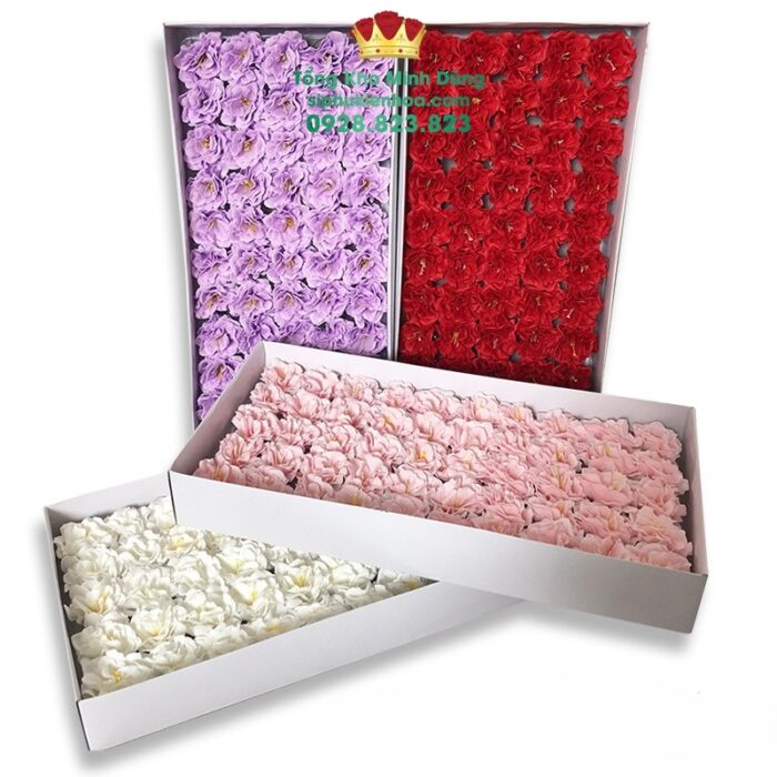 Hoa Đỗ Quyên Cao Cấp (Hộp 50B)