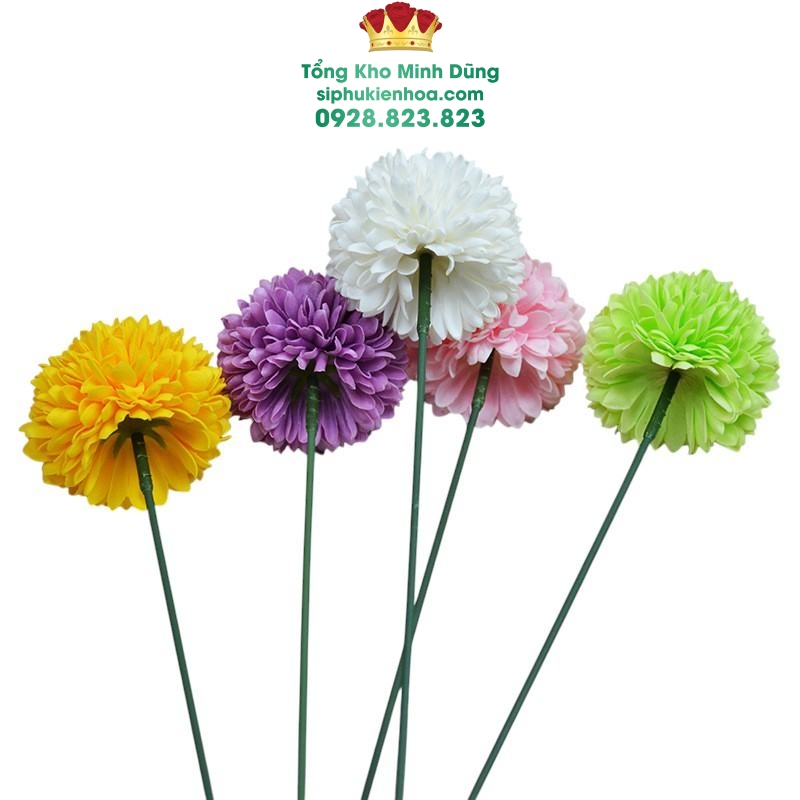 Hoa Sáp Pingpong Lớn Cao Cấp (Hộp 18 Bông) - Sỉ Phụ Kiện Hoa Hoa Sáp Pingpong Lớn Cao Cấp (Hộp 18 Bông) - Ảnh 2