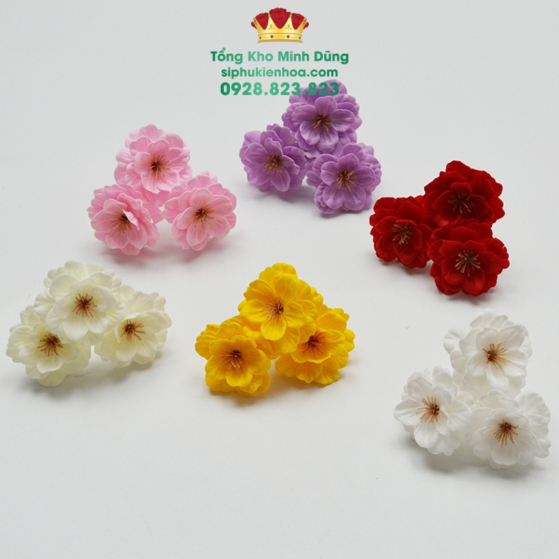 Hoa Mai Anh Đào Cao Cấp (Hộp 50B) - Sỉ Phụ Kiện Hoa Hoa Mai Anh Đào Cao Cấp (Hộp 50B) - Ảnh 2