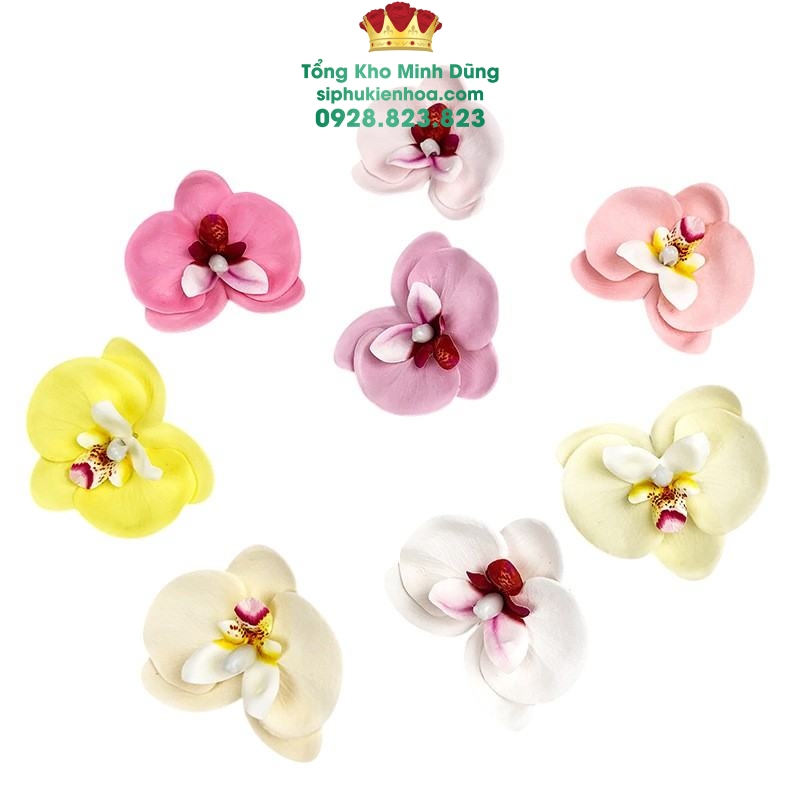 Hoa Sáp Lan Hồ Điệp Cao Cấp (Hộp 25 Bông) - Sỉ Phụ Kiện Hoa Hoa Sáp Lan Hồ Điệp Cao Cấp (Hộp 25 Bông) - Ảnh 2