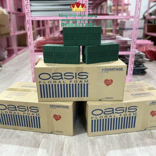 Thùng Xốp Malay Oasis Cao Cấp (Xốp Xanh Cao Cấp) - Ảnh 2