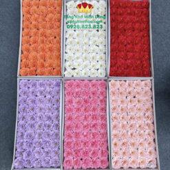 Hoa Đỗ Quyên Cao Cấp (Hộp 25B)