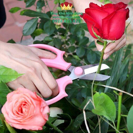 Kéo Cắt Cành Cao Cấp - Ảnh 2