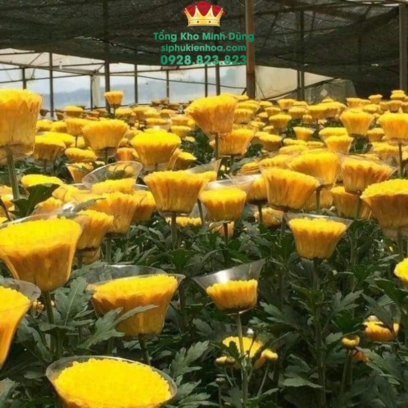 Chén Đồng Tiền Cao Cấp (Cục 100 Cái) - Sỉ Phụ Kiện Hoa Chén Đồng Tiền Cao Cấp (Cục 100 Cái) - Ảnh 2