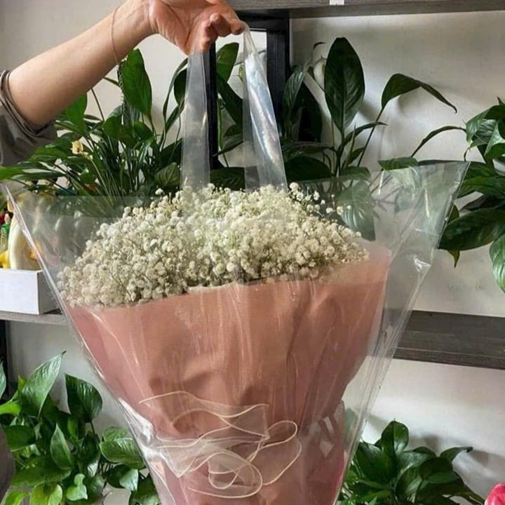 Túi Nhựa Trong Đựng Hoa Không Đáy Cao Cấp (Set 10 Cái) - Sỉ Phụ Kiện Hoa Túi Nhựa Trong Đựng Hoa Không Đáy Cao Cấp (Set 10 Cái) - Ảnh 3