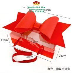 Hộp Mika Nắp Nơ Xốp Cao Cấp (Set 5C)