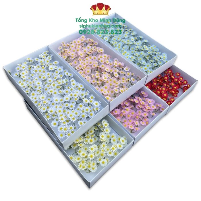 Hoa Sáp Cúc Tana Cao Cấp (Hộp 50 Chùm)