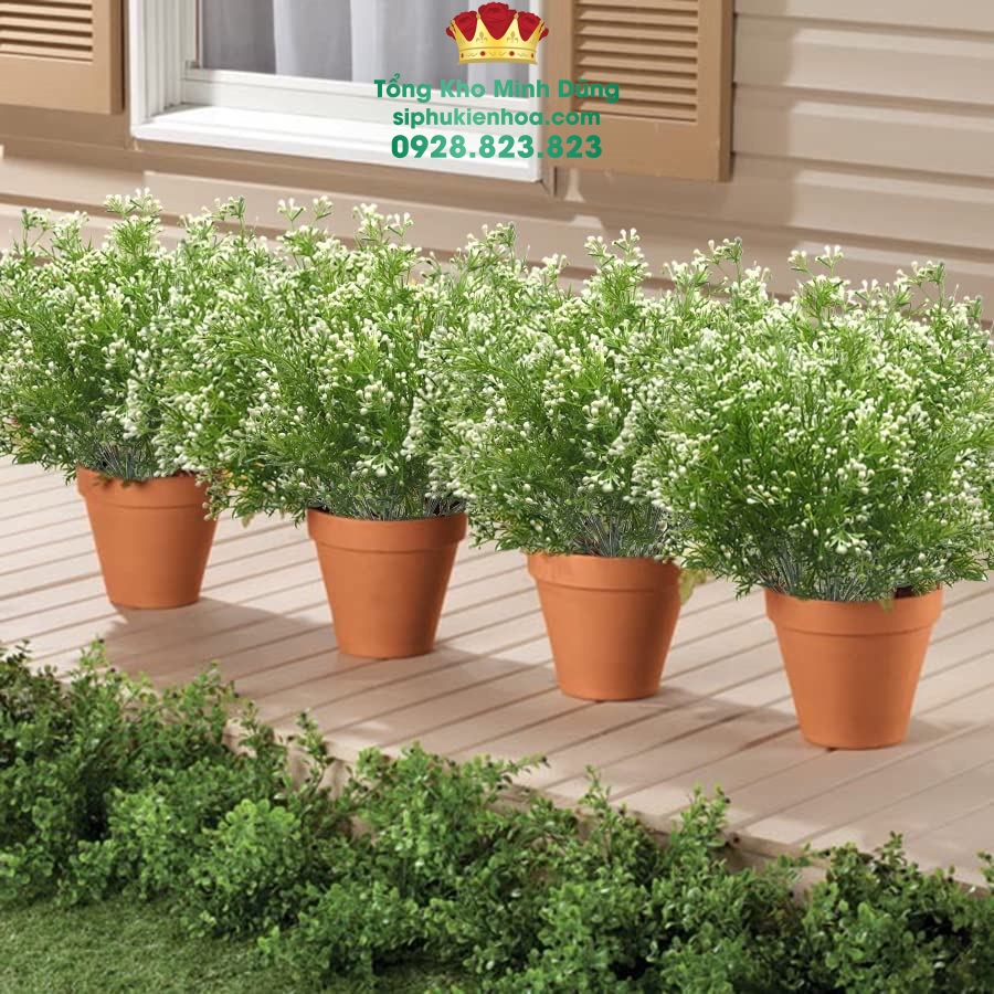 Cành Bi Điểm Gạo Cao Cấp - Sỉ Phụ Kiện Hoa Cành Bi Điểm Gạo Cao Cấp - Ảnh 3