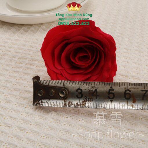 Đầu Bông Hoa Hồng Ecuador Cao Cấp - Ảnh 3