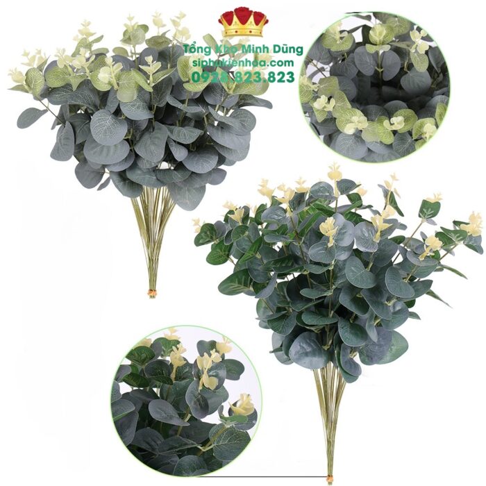 Chùm Lá Táo Mimosa Xịn Cao Cấp