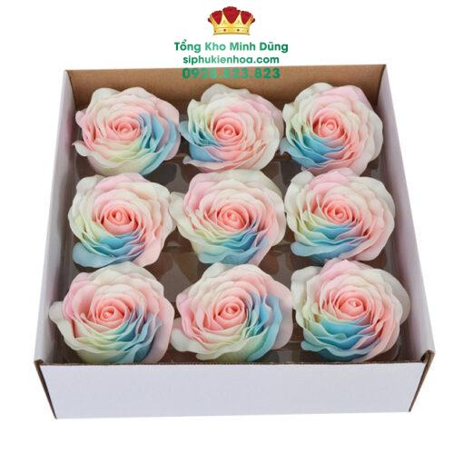Đầu Bông Hoa Pastel Dạ Quang Cao Cấp