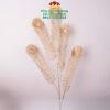 cành Công Xòe Nhũ Đồng Set 10 Cành - Sỉ Phụ Kiện Hoa