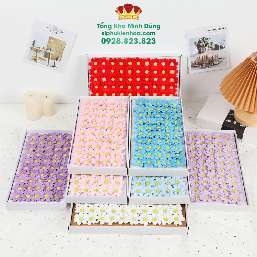 Hoa Cúc Cánh Tim Cao Cấp