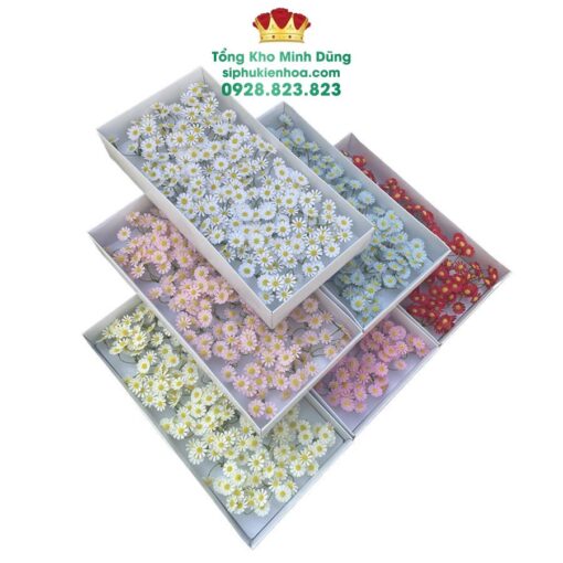 Hoa Sáp Cúc Tana Cao Cấp (Hộp 50 Chùm) - Ảnh 4