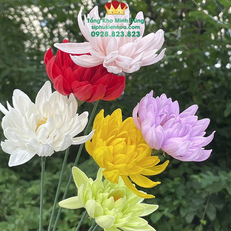 Đầu Bông Hoa Cúc Dalia Cao Cấp ( Hộp 25 Bông) - Sỉ Phụ Kiện Hoa Đầu Bông Hoa Cúc Dalia Cao Cấp ( Hộp 25 Bông) - Ảnh 2