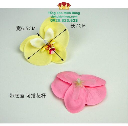 Hoa Sáp Lan Hồ Điệp Cao Cấp (Hộp 25 Bông) - Ảnh 4
