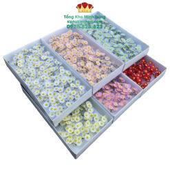 Hoa Sáp Cúc Tana Cao Cấp (Hộp 50 Chùm)