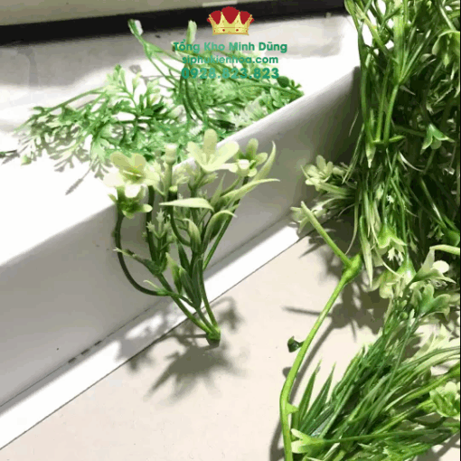 Cỏ Lá Điểm Cắm Hoa Cao Cấp (Nửa Kg) - Ảnh 2