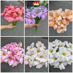 Set 10 Bông Tuylip Nở Cao Cấp