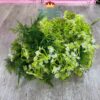 Cỏ Lá Điểm Cắm Hoa Cao Cấp (Nửa Kg) - Sỉ Phụ Kiện Hoa