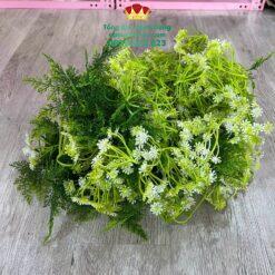 Cỏ Lá Điểm Cắm Hoa Cao Cấp (Nửa Kg)