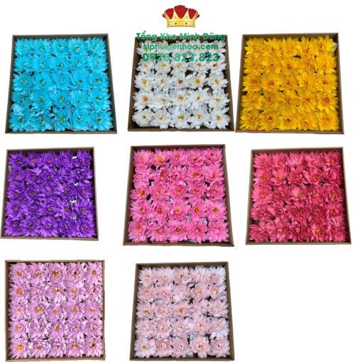Đầu Bông Hoa Cúc Dalia Cao Cấp ( Hộp 25 Bông)