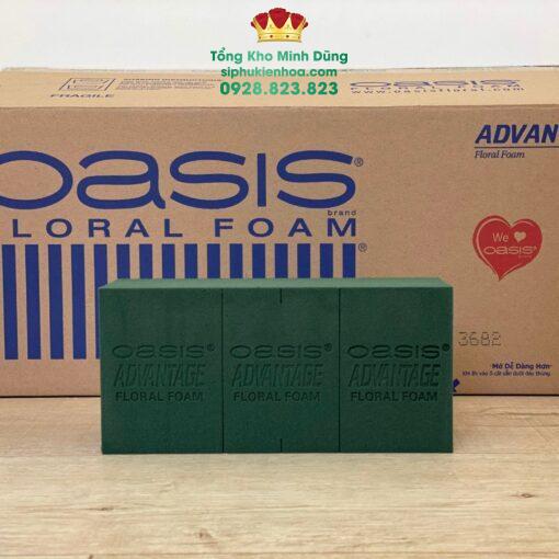 Thùng Xốp Malay Oasis Cao Cấp (Xốp Xanh Cao Cấp) - Ảnh 3