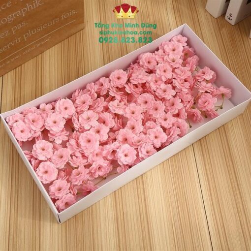 Hoa Mai Anh Đào Cao Cấp (Hộp 50B) - Ảnh 3