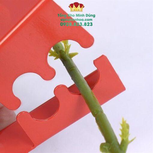 Chuốt Gai Hoa Hồng Sắt Cao Cấp - Ảnh 5