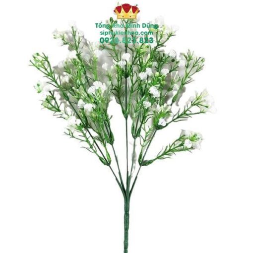 Cành Baby Điểm Cao Cấp (Cành 5 Nhánh) - Ảnh 2