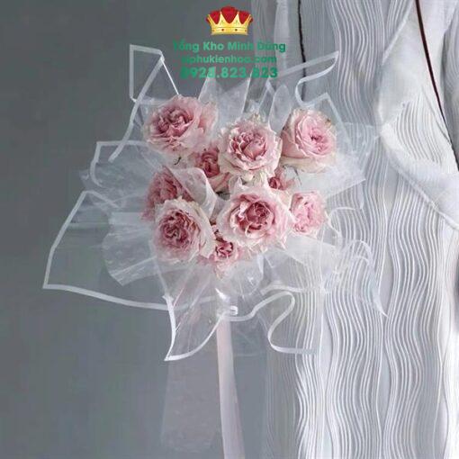 Giấy Kiếng Trong Viền Màu Cao Cấp - Ảnh 2