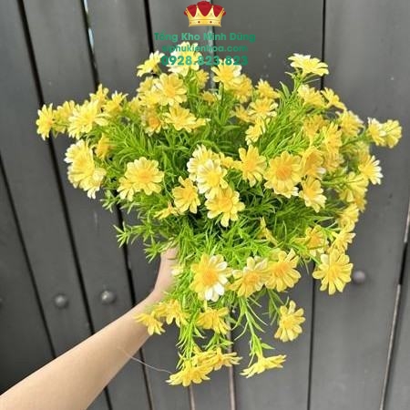 Cành Điểm Cúc Tana Cao Cấp - Sỉ Phụ Kiện Hoa Cành Điểm Cúc Tana Cao Cấp - Ảnh 2