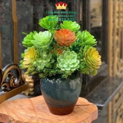 Bịch 10C Sen Đá Nhựa Trang Trí Cao Cấp - Sỉ Phụ Kiện Hoa Bịch 10C Sen Đá Nhựa Trang Trí Cao Cấp - Ảnh 2