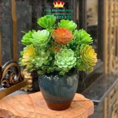 Bịch 10C Sen Đá Nhựa Trang Trí Cao Cấp - Sỉ Phụ Kiện Hoa Bịch 10C Sen Đá Nhựa Trang Trí Cao Cấp - Ảnh 2