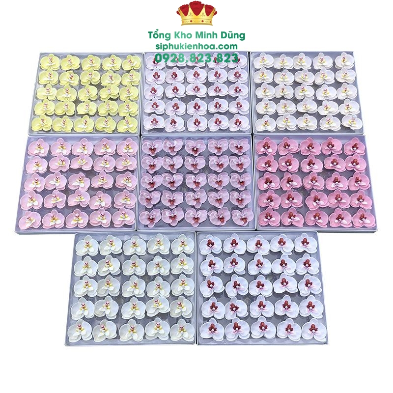 Hoa Sáp Lan Hồ Điệp Cao Cấp (Hộp 25 Bông) - Sỉ Phụ Kiện Hoa Hoa Sáp Lan Hồ Điệp Cao Cấp (Hộp 25 Bông)