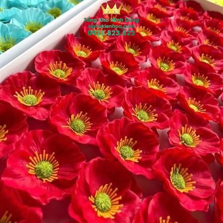 Hoa Sáp Anh Anh Cao Cấp (Hộp 50 Bông) - Sỉ Phụ Kiện Hoa Hoa Sáp Anh Anh Cao Cấp (Hộp 50 Bông) - Ảnh 3