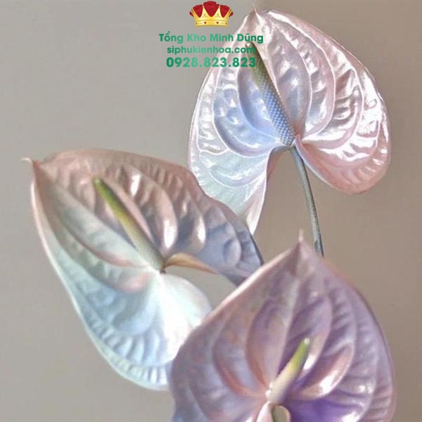 Sơn Xịt Màu Hoa Tươi - Hoa Sáp Cao Cấp - Sỉ Phụ Kiện Hoa Sơn Xịt Màu Hoa Tươi - Hoa Sáp Cao Cấp - Ảnh 2