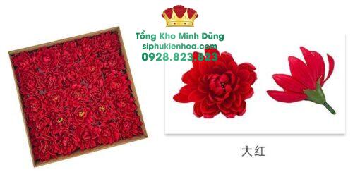 Đầu Bông Hoa Cúc Dalia Cao Cấp ( Hộp 25 Bông) - Ảnh 4