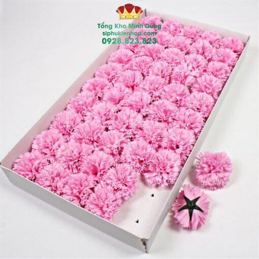 Đầu Bông Hoa Cẩm Chướng Cao Cấp (Hộp 50 Bông) - Ảnh 4