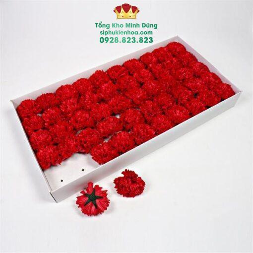 Đầu Bông Hoa Cẩm Chướng Cao Cấp (Hộp 50 Bông) - Ảnh 3