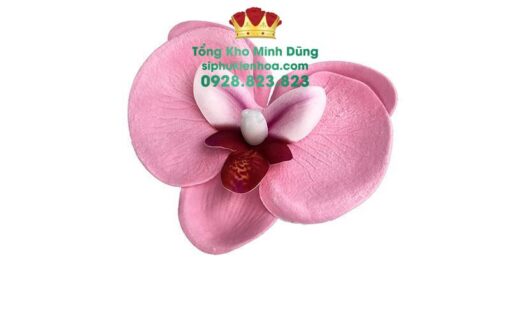 Hoa Sáp Lan Hồ Điệp Cao Cấp (Hộp 25 Bông) - Ảnh 2