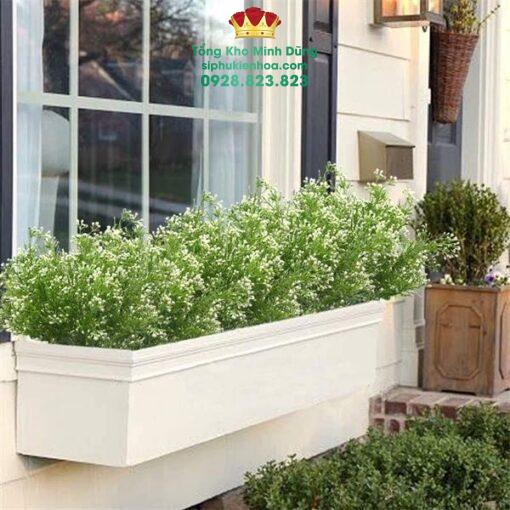 Cành Bi Điểm Gạo Cao Cấp - Ảnh 5