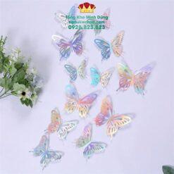 Set Bươm Bướm Trang Trí Cao Cấp