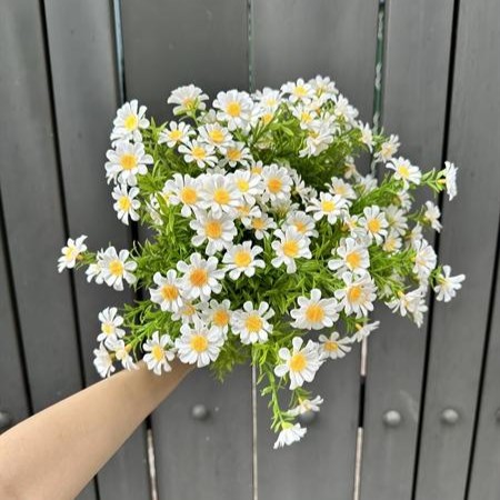 Cành Điểm Cúc Tana Cao Cấp - Sỉ Phụ Kiện Hoa Cành Điểm Cúc Tana Cao Cấp - Ảnh 3