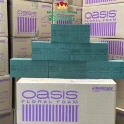 Thùng Xốp Tím Oasis Cao Cấp