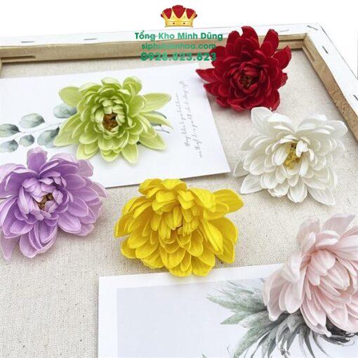 Đầu Bông Hoa Cúc Dalia Cao Cấp ( Hộp 25 Bông) - Ảnh 3