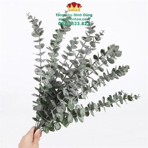 Lá Táo Cao Cấp - Ảnh 4