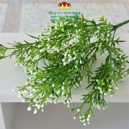 Cành Bi Điểm Gạo Cao Cấp - Ảnh 2