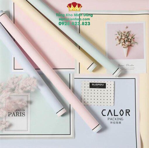 Giấy 2 Mặt Họa Tiết Viền Màu Cao Cấp - Ảnh 4