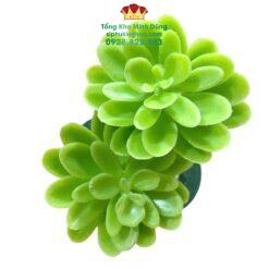 Bịch 10C Sen Đá Nhựa Trang Trí Cao Cấp